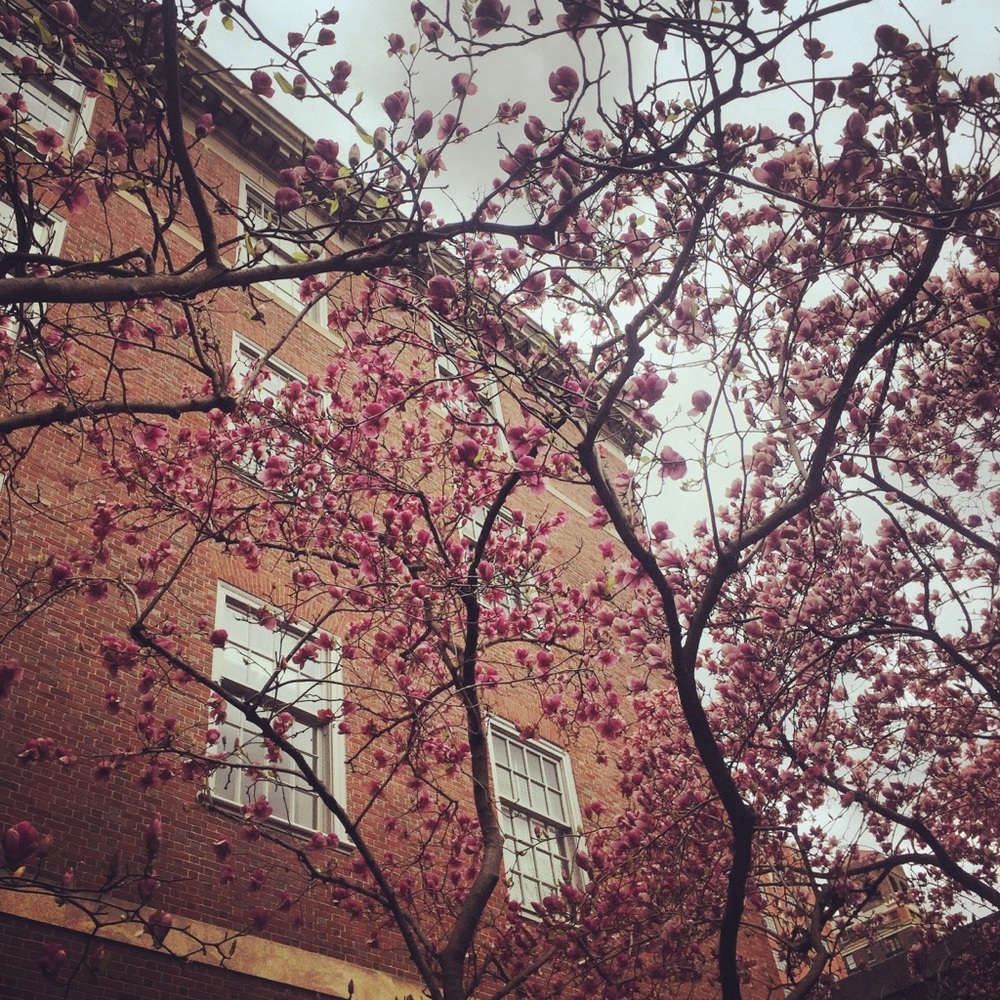 Meet your Posher, Atiyah